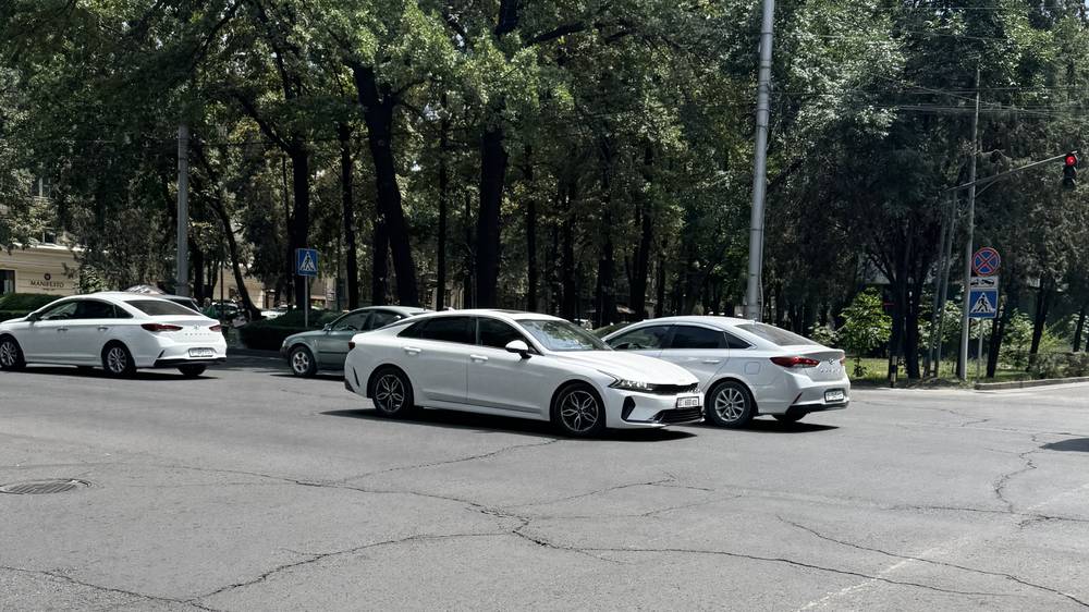 «Киа» едет по полосе для общественного транспорта на Киевской. Фото