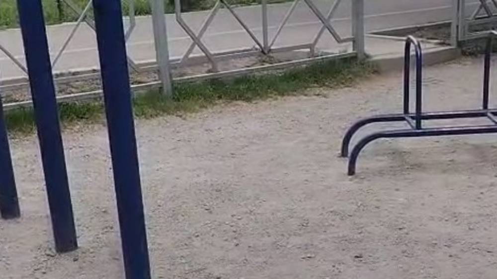 Горожанин жалуется на состояние спортплощадки в парке Фучика. Видео