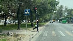 Горожанин предлагает построить аллею и велодорожку на Алматинке. Фото