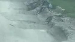 Асфальт на Жибек Жолу превратился в месиво. Видео
