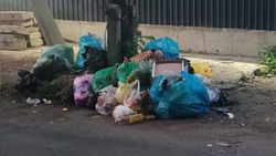 В мэрии рассказали, почему на Баялинова убрали мусорные баки