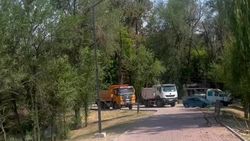 На территории озер Сорока вырубили сухостой, - мэрия