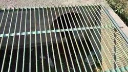 На Чортекова сделали арык и спасли участок от затопления. Видео