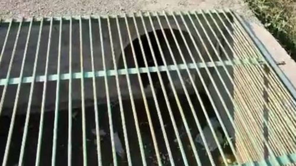 На Чортекова сделали арык и спасли участок от затопления. Видео
