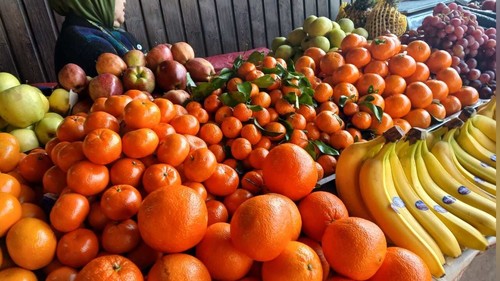 импорт фруктов