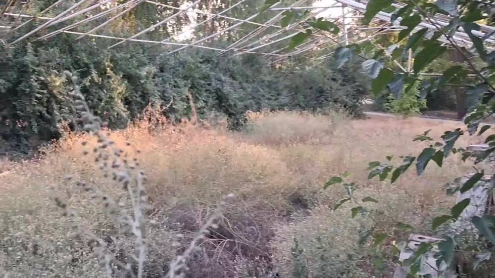В Аламедине-1 бомжи покинули местную «достопримечательность». Видео