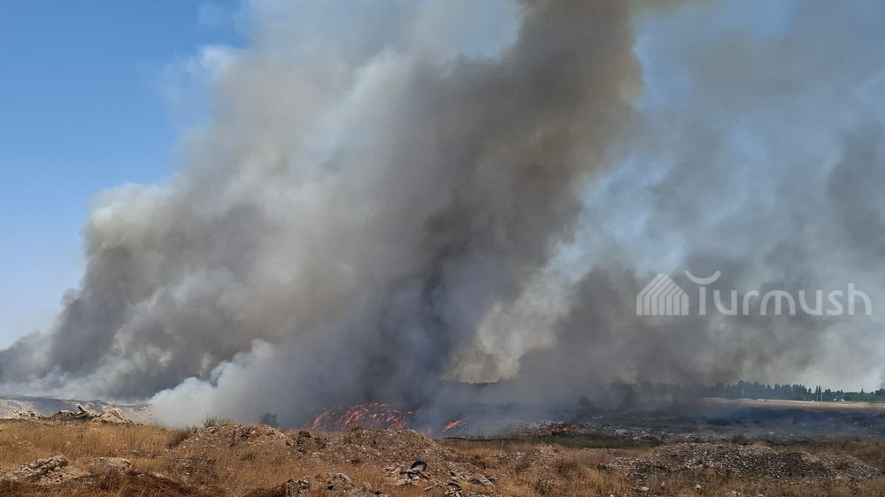 Иллюстративное фото