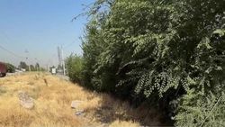 У Первомайского акимиата имеется проект благоустройства и озеленения улицы Профсоюзной У Первомайского акимиата имеется проект благоустройства и озеленения улицы Профсоюзной