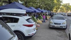 Продавцы арбузов на Чапаева получили временный договор с мэрией