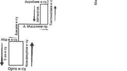 Горожанин просит запустить новый автобус. Ответ мэрии