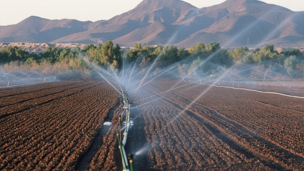 Иллюстрациялык сүрөт