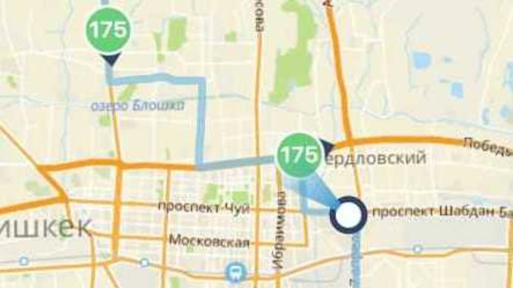 Мэрия Бишкека ответила на жалобу о работе автобуса №175