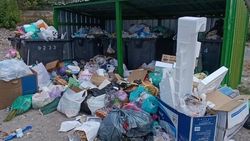 Гора мусора на Набережной. Фото