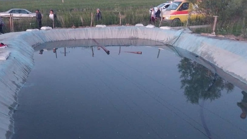 Иллюстрациялык сүрөт