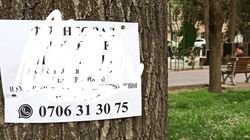 На Дзержинке к деревьям прибили объявление. Фото