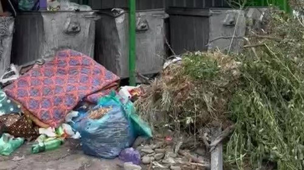 Төшөки, одежда и ветки. Что выбрасывают на мусорку жители 7 мкр. Видео