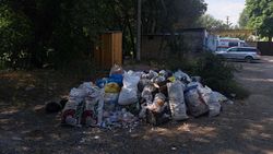 Гора мусора возле ГСВ в Новопокровке. Фото жителя