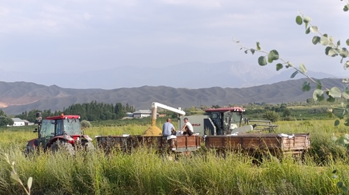 садоводство