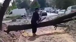 На месте строящегося сквера в Тунгуче рубят деревья. Видео горожанки