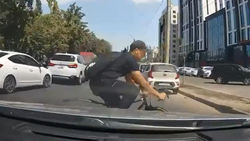 Велосипедист выехал из-за машины и попал под другое авто. Видео