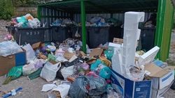 «Тазалык» убрал мусор на Набережной после жалобы горожанина. Фото