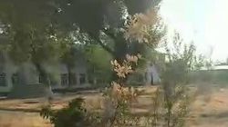 Житель Московского района жалуется на состояние школы. Видео