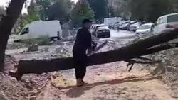 На месте строящегося сквера в Тунгуче рубят деревья. Ответ мэрии