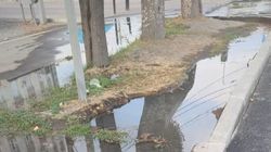 Арыки на Ахунбаева забиты. Видео горожанина