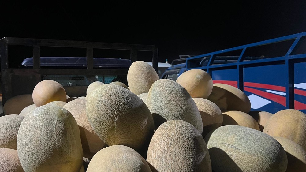 Иллюстративное фото