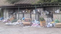 Мусорка на Куренкеева забита. Фото