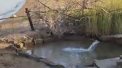 На Иссык-Куле вода из трубы течет в озеро. Видео