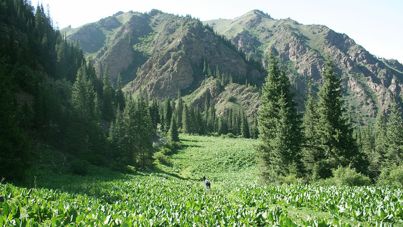 Presidential Affairs Department to reconstruct Salkyn-Tor nature park in Naryn region