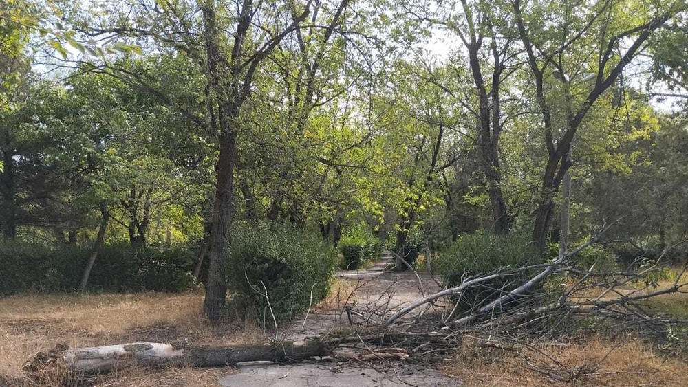 Иллюстрациялык сүрөт