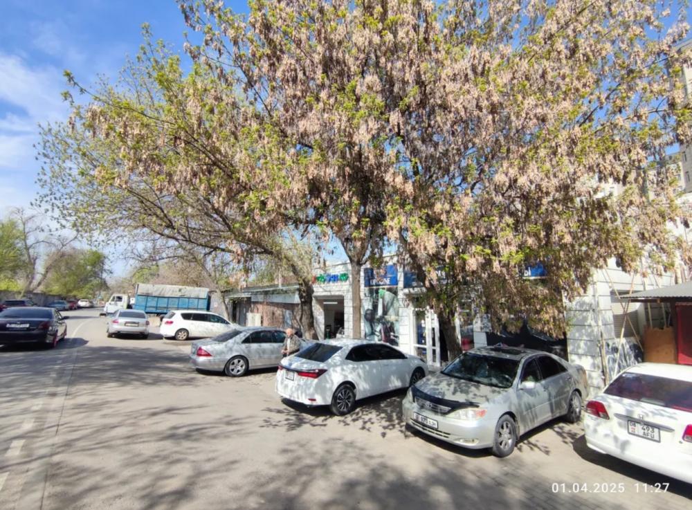 Продаю торговое помещение  500кв. м., ул.Панфилова/Линейная.