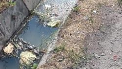 «Бишкекзеленстрой» очистил арык на Кольбаева после жалобы горожанина. Видео