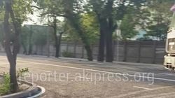 ОсОО «Ават Констракшн» оштрафовали на 40 тыс. сомов за загрязнение дороги и повреждение дерева, - мэрия