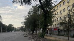 Будут ли вырубать деревья на Фучика во время ремонта? - горожанин Будут ли вырубать деревья на Фучика во время ремонта? - горожанин