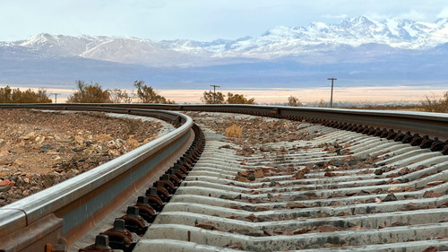 Наташа есімді теңіз тасбақасының порно видеосы
