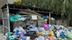 Куча мусор на ул.Ибраева. Фото мэрии Куча мусор на ул.Ибраева. Фото мэрии