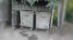 Мусор на улице Ибраева убрали, - мэрия Мусор на улице Ибраева убрали, - мэрия