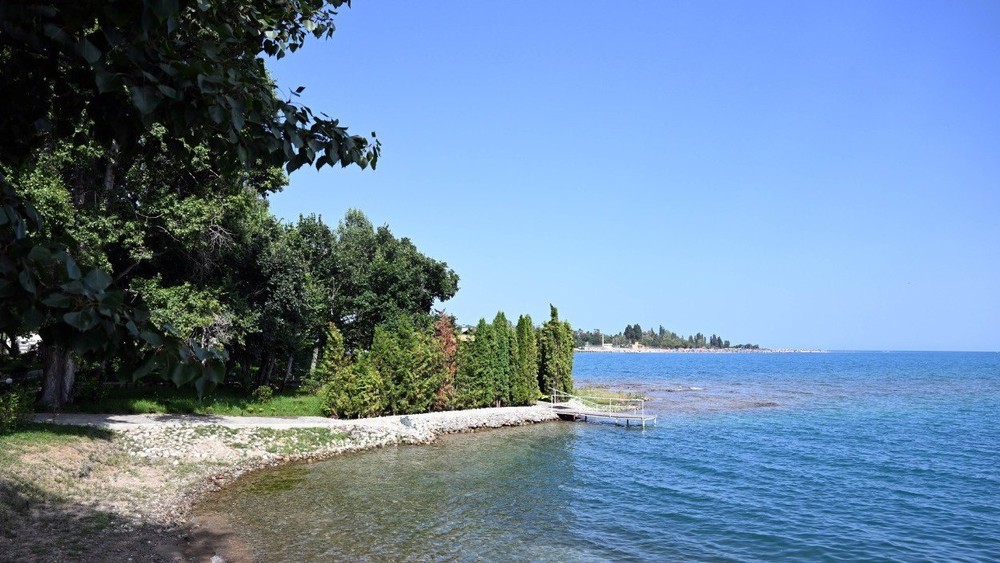 Иллюстративное фото