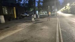 Когда на остановке на Молодой Гвардии—Боконбаева сделают навес? Ответ мэрии Когда на остановке на Молодой Гвардии—Боконбаева сделают навес? Ответ мэрии