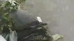 Мешки с мусором на тротуаре в Московском районе. Видео Мешки с мусором на тротуаре в Московском районе. Видео