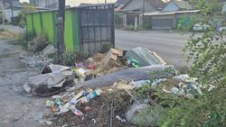 Гора мусора у баков на Термечикова. Фото Гора мусора у баков на Термечикова. Фото