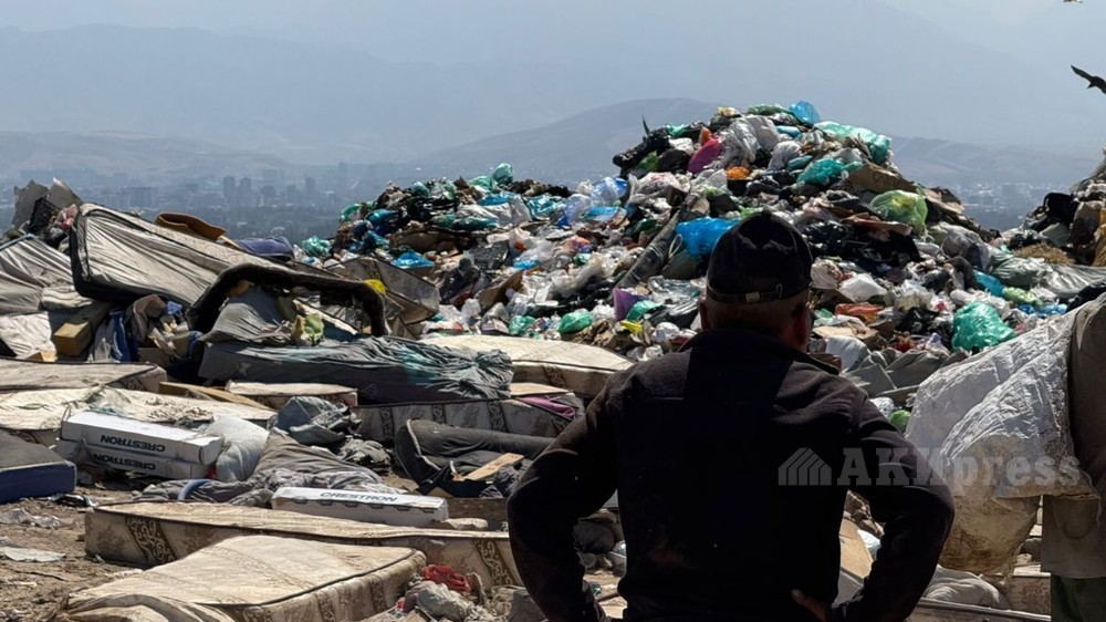 Иллюстративное фото