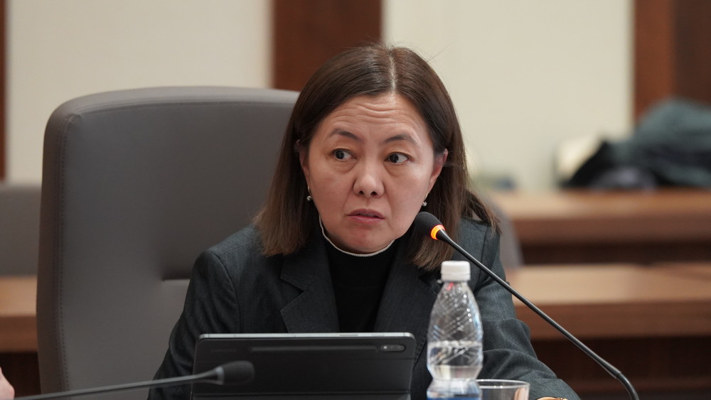 Замминистра финансов Жибек Дуйшеева