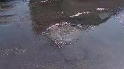 «Бишкекводоканал» устранил утечку воды по Абдрахманова, - мэрия