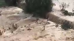 В Тонском районе сошли сели В Тонском районе сошли сели