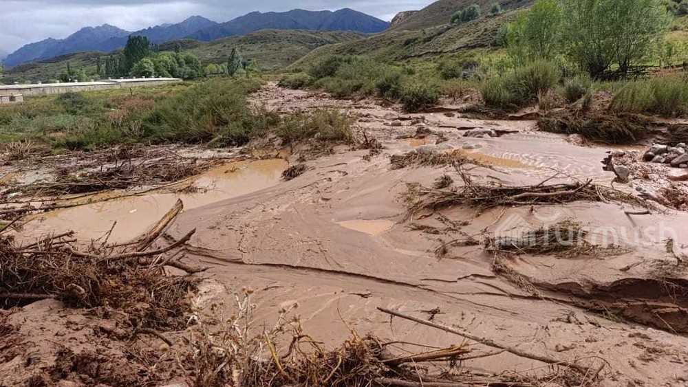 Иллюстративное фото