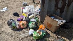 На Кольбаева мусор не доносят до баков. Фото На Кольбаева мусор не доносят до баков. Фото